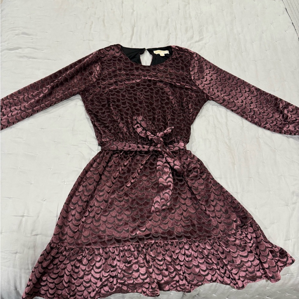 Elegant Burgundy Dress